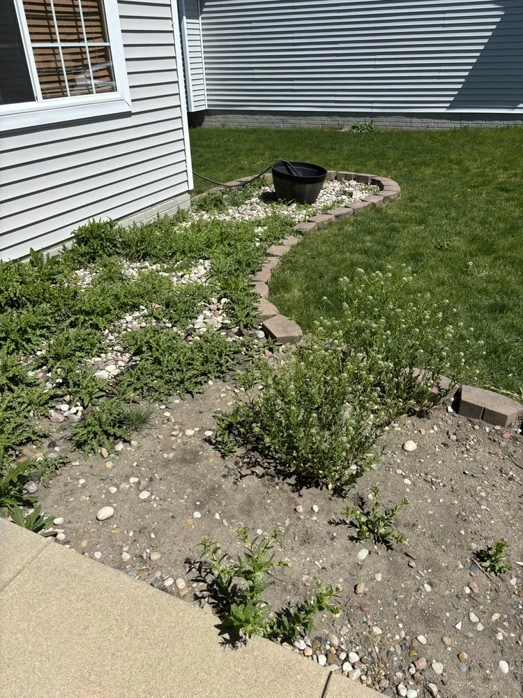 Top-rated lawn mowing service for year-round maintenance across Ankeny, IA - Daf Landscaping