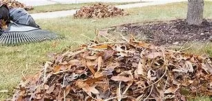 Professional lawn mowing service in Gordon, GA - Dafa