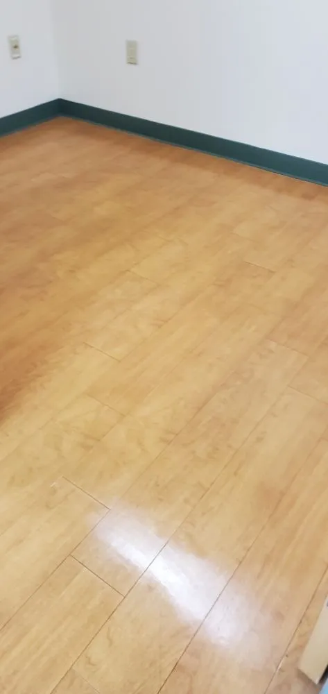 Professional yard cleanup service for residential properties in Williamsburg, VA by Dafamily Professional Cleaning Service