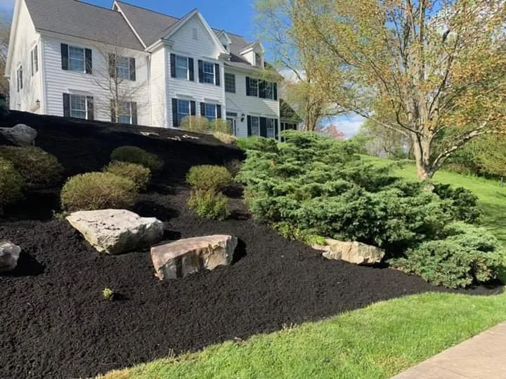 Expert lawn care service in Williamsburg, VA by Dafamily Professional Cleaning Service