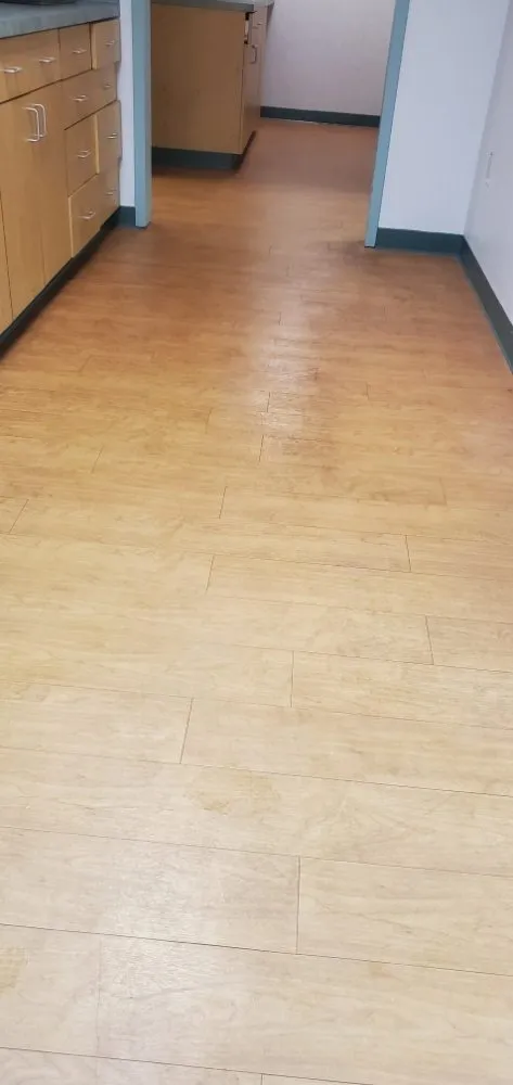 Expert residential landscaping in Williamsburg, VA - Dafamily Professional Cleaning Service