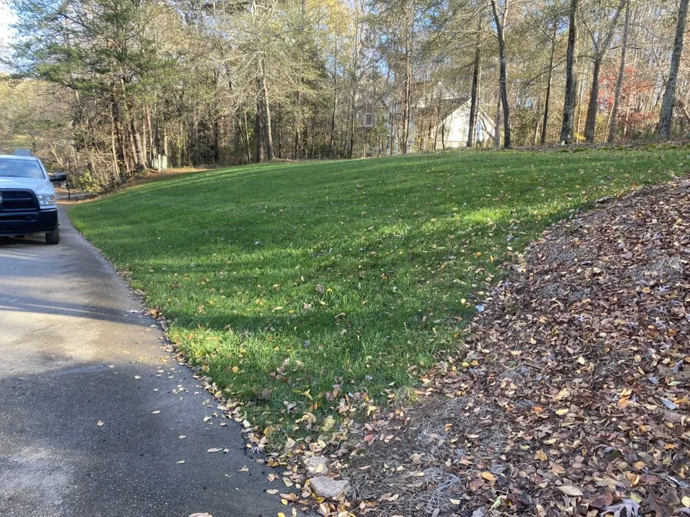 Custom lawn mowing service in Fountain Inn, SC - Daffodil's Horticultural Solutions