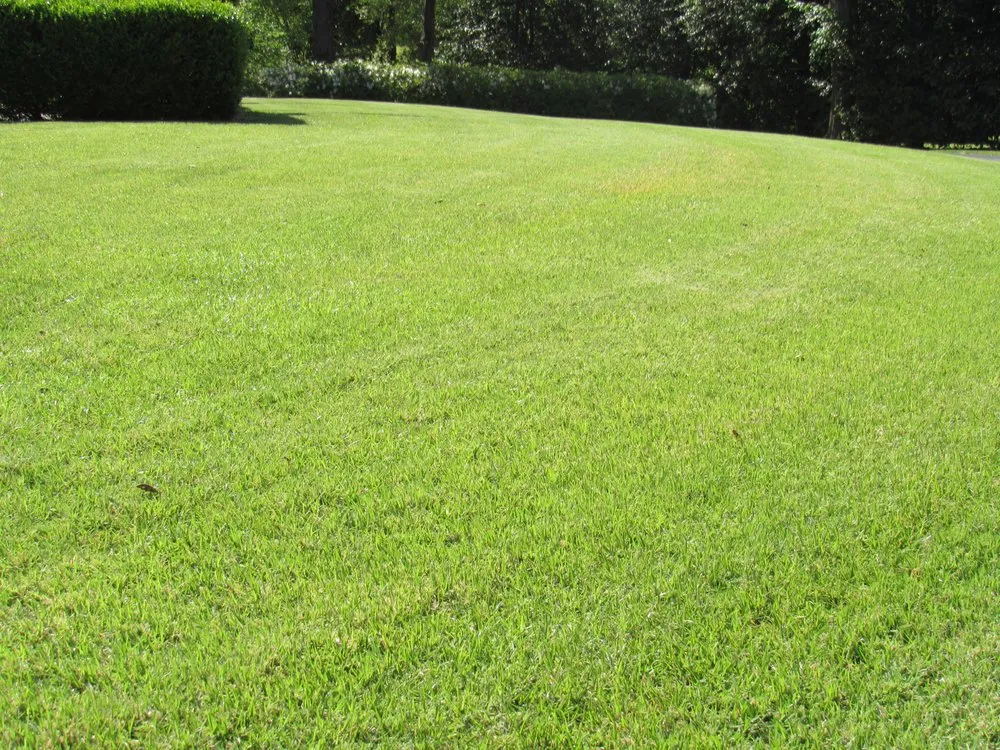 Trusted garden landscaping for residential properties across Fountain Inn, SC - Daffodil's Horticultural Solutions