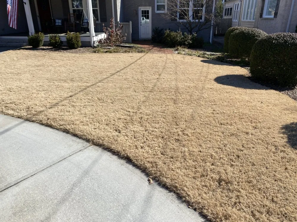 Local landscaping services in Fountain Inn, SC - Daffodil's Horticultural Solutions