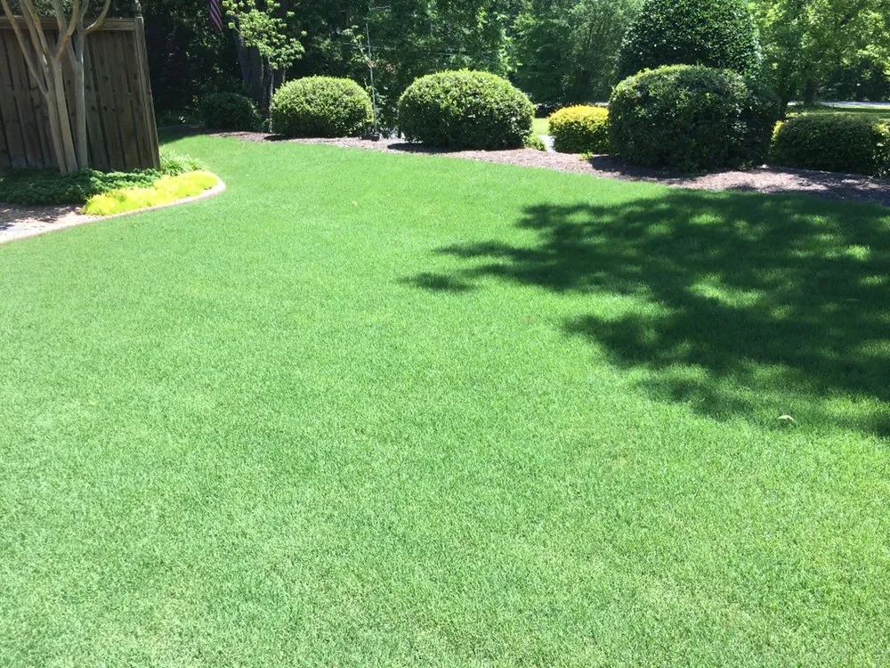 Reliable lawn care service experts serving Fountain Inn, SC - Daffodil's Horticultural Solutions