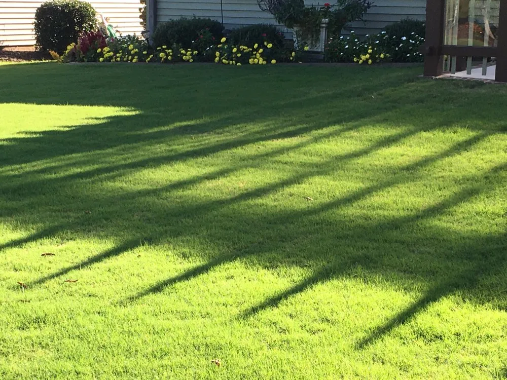 Local yard cleanup service experts serving Fountain Inn, SC - Daffodil's Horticultural Solutions