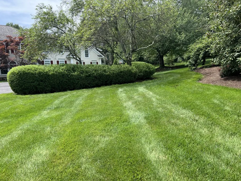 Professional yard maintenance for outdoor upgrades across Morristown, NJ - DAG Landscaping Service