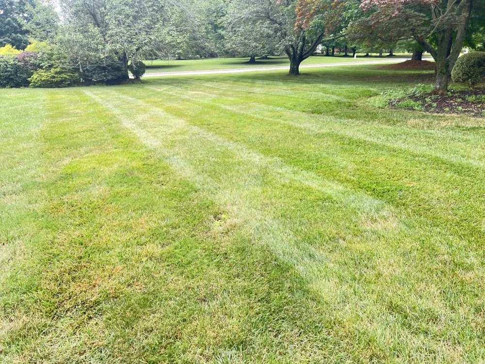 Affordable lawn mowing service experts serving Morristown, NJ - DAG Landscaping Service