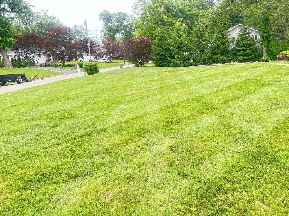 Local yard cleanup service in Morristown, NJ by DAG Landscaping Service
