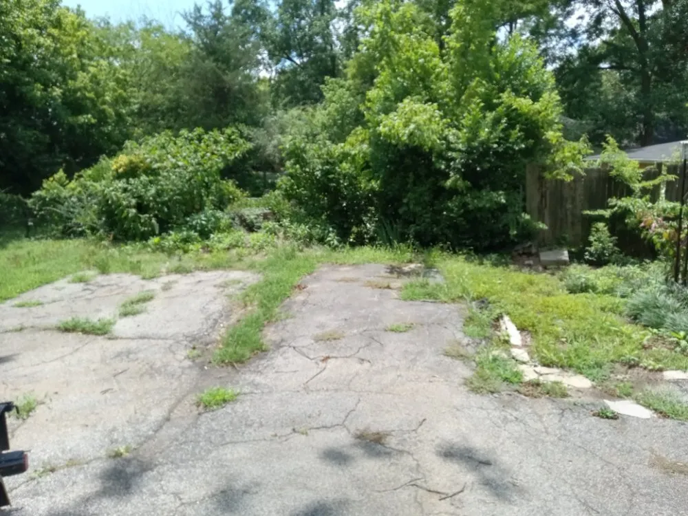 Expert yard cleanup service in Euharlee, GA by dagens Maintenance