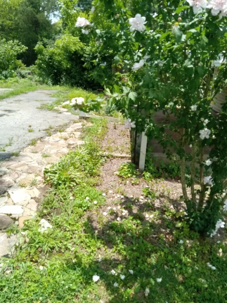 Trusted residential landscaping near you in Euharlee, GA by dagens Maintenance