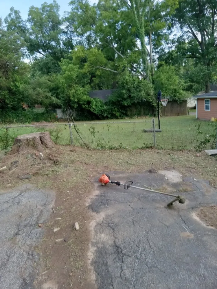 Trusted residential landscaping in Euharlee, GA - dagens Maintenance