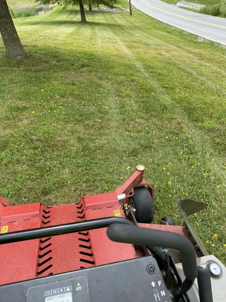 Local yard cleanup service experts serving Greenbelt, MD - Daglandscaping