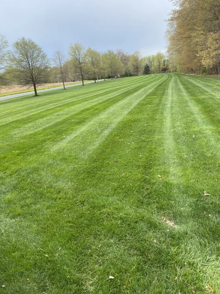 Trusted landscape design with custom design across Greenbelt, MD - Daglandscaping