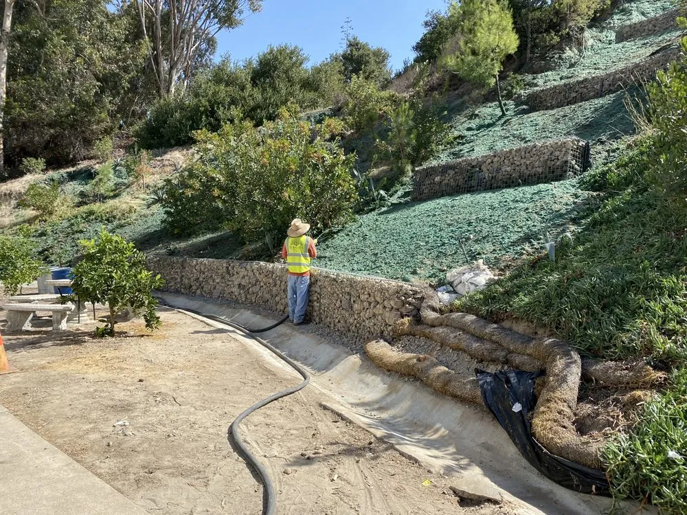 Local yard cleanup service experts serving San Diego, CA - Dago's Landscape