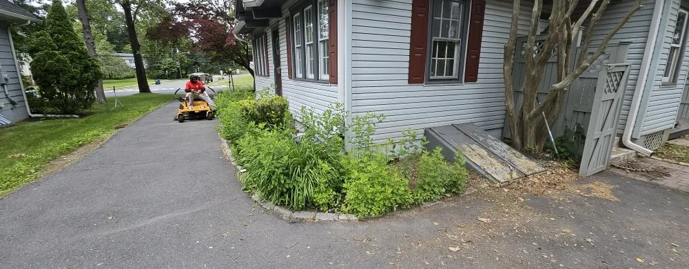 Local lawn mowing service experts serving Newportville, PA - Dagreat Cleaners