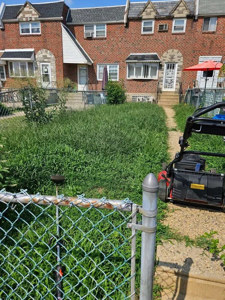 Top-rated residential landscaping in Newportville, PA by Dagreat Cleaners