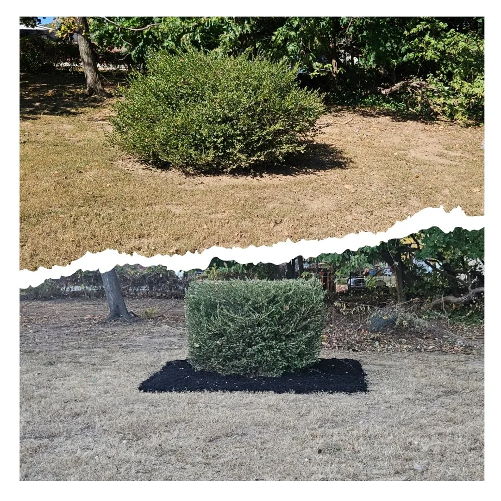 Professional landscaping services experts serving Newportville, PA - Dagreat Cleaners