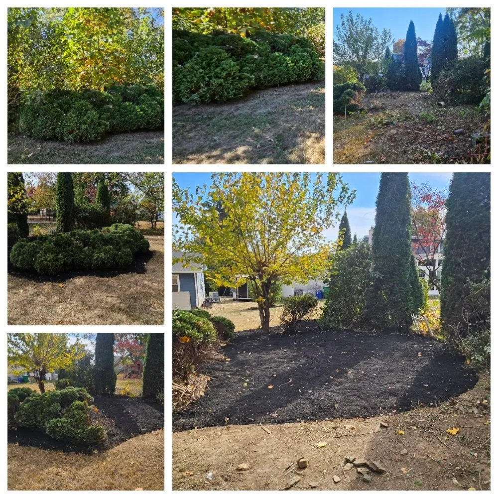 Custom residential landscaping in Newportville, PA - Dagreat Cleaners