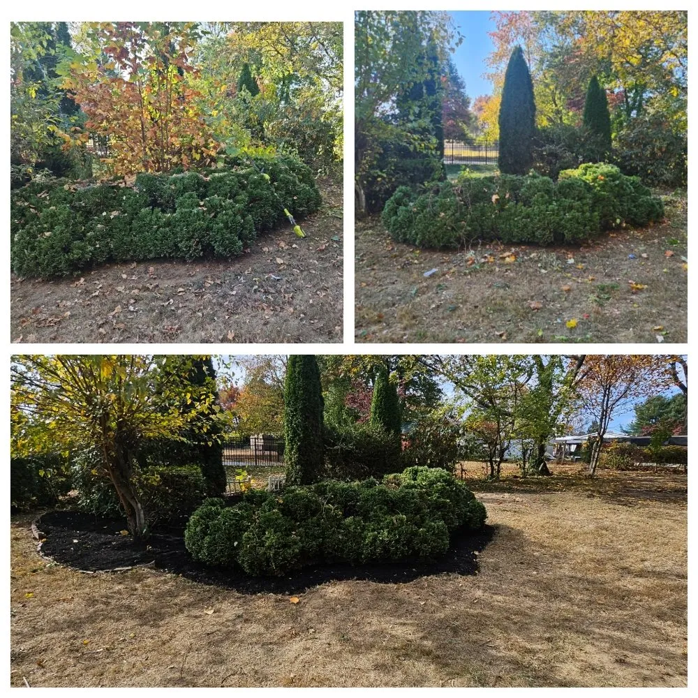 Custom yard cleanup service in Newportville, PA by Dagreat Cleaners