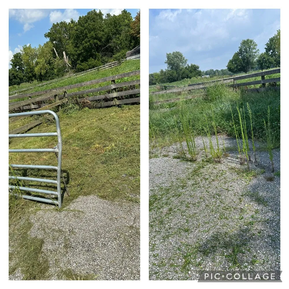 Local lawn care service for outdoor upgrades in Greenwood, IN by Dahl House Lawn Care