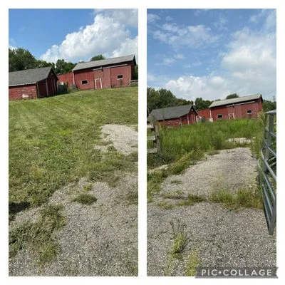 Dahl House Lawn Care Logo