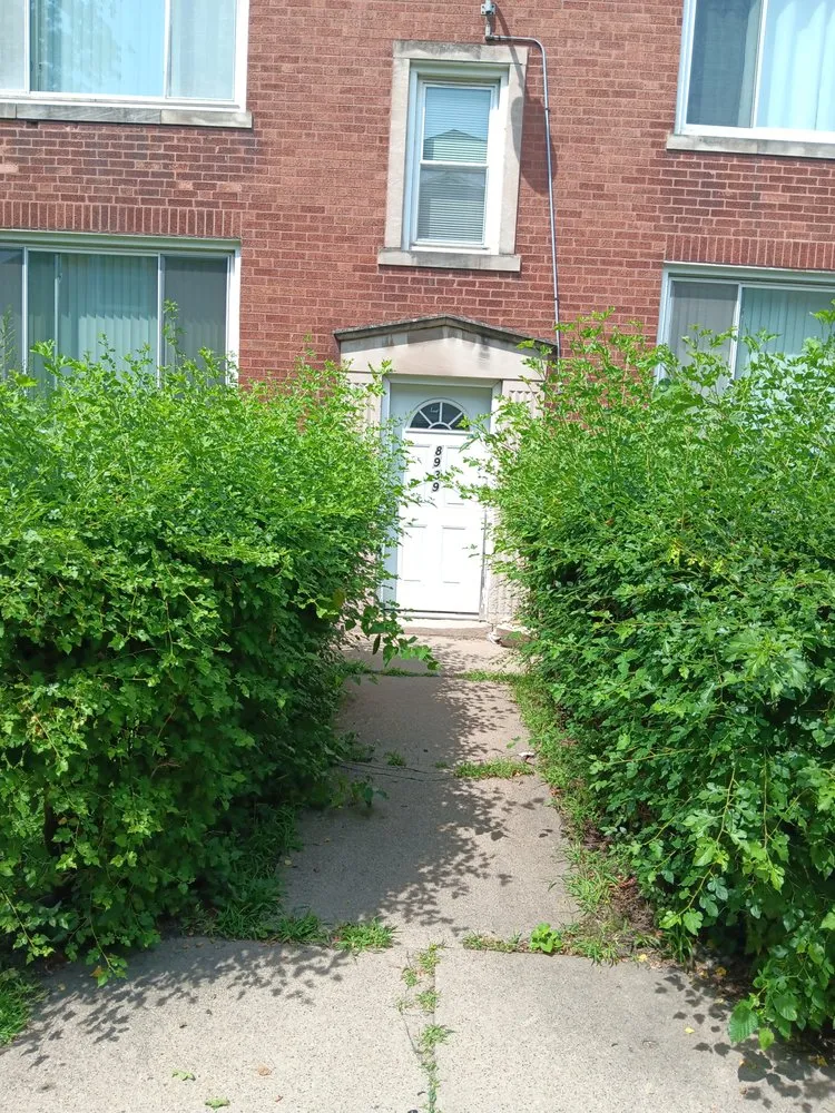 Affordable landscaping services experts serving Normal, IL - Dahu's Maintenance