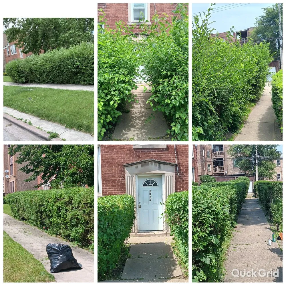 Expert landscape installation for beautiful yards in Normal, IL by Dahu's Maintenance