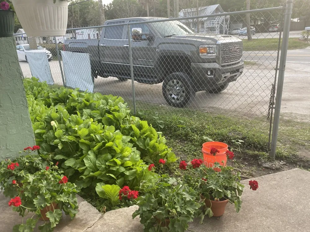 Professional garden landscaping for residential properties across Saint Augustine, FL - Daigle Discount Nursery And Sod