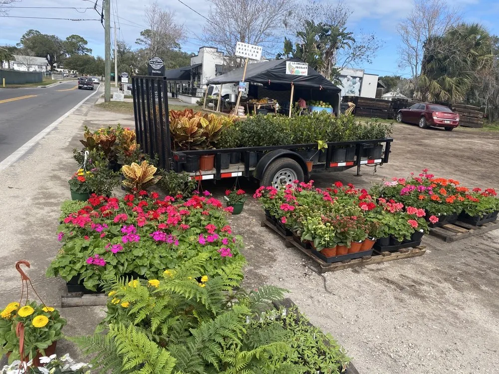 Top-rated landscape design experts serving Saint Augustine, FL - Daigle Discount Nursery And Sod