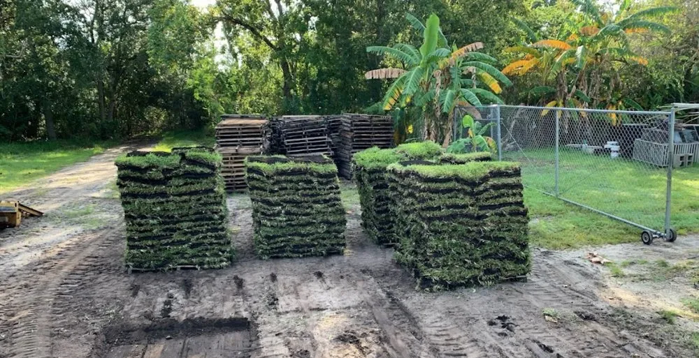 Local landscape installation in Saint Augustine, FL by Daigle Discount Nursery And Sod