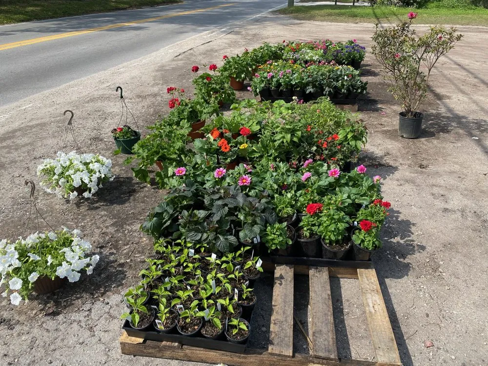 Professional lawn care service for beautiful yards across Saint Augustine, FL - Daigle Discount Nursery And Sod