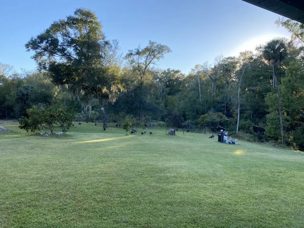 Local yard cleanup service for homes in Saint Augustine, FL by Daigle Discount Nursery And Sod