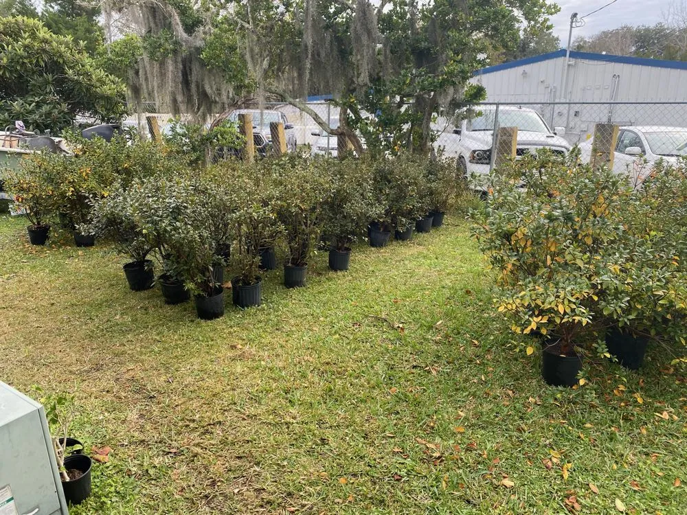 Trusted landscaping services in Saint Augustine, FL - Daigle Discount Nursery And Sod