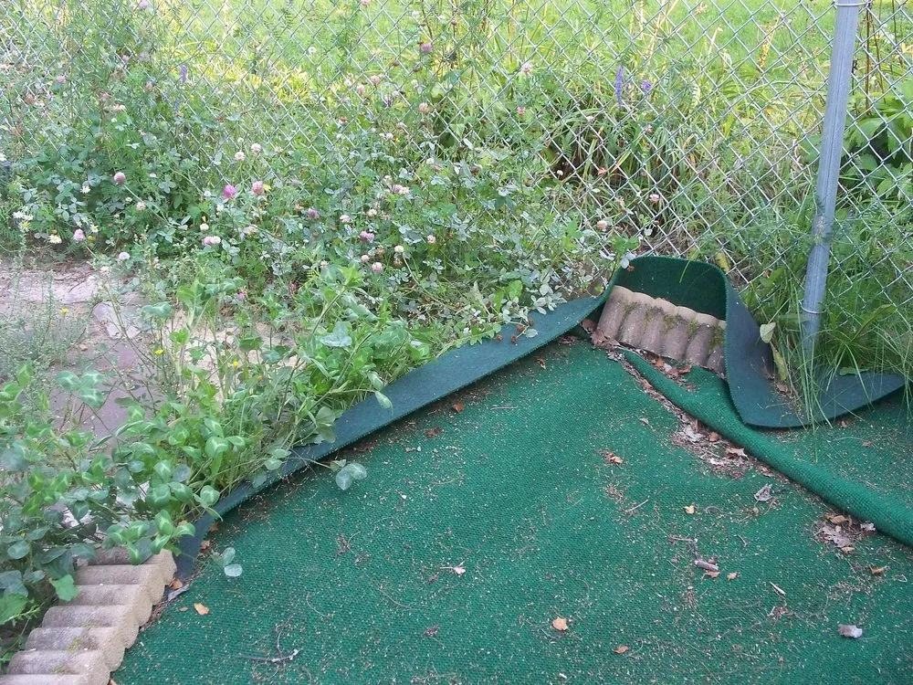 Affordable landscaping services in Presque Isle, ME by Daigle Property Maintenance