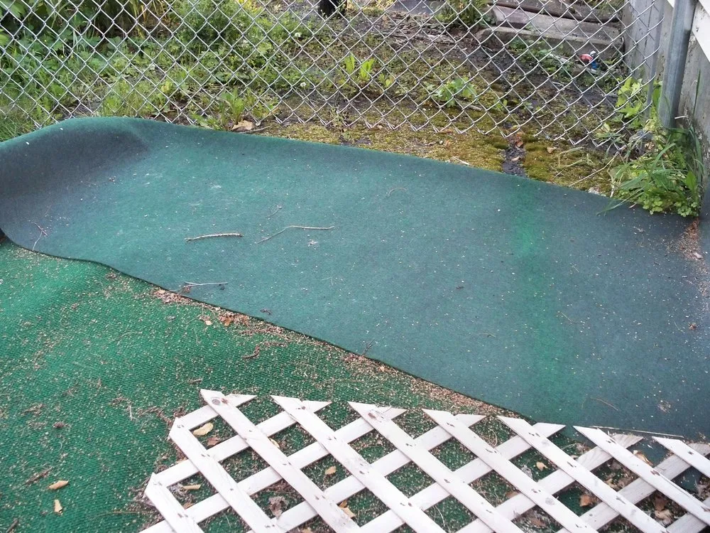 Top-rated yard maintenance near you in Presque Isle, ME by Daigle Property Maintenance