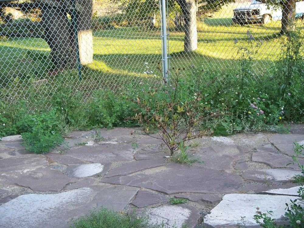 Professional yard cleanup service for beautiful yards in Presque Isle, ME by Daigle Property Maintenance