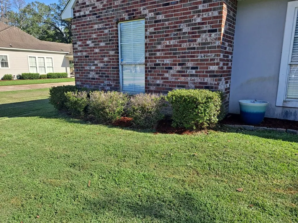 Top-rated landscaping services in Denham Springs, LA - Daigre's Lawn Care