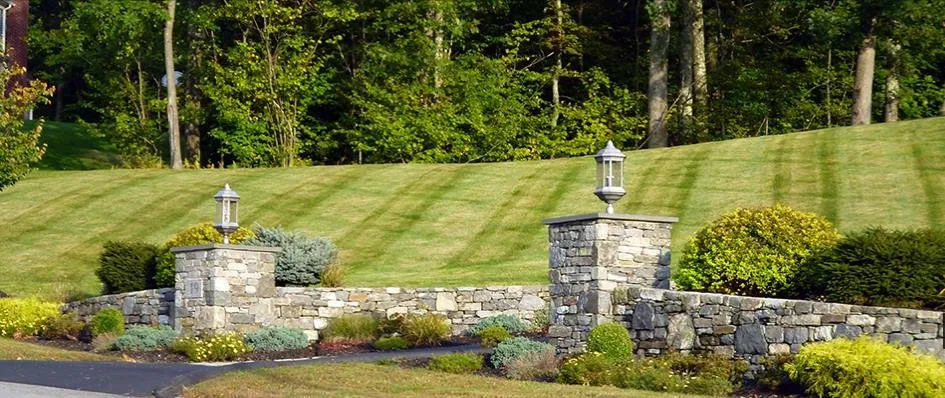 Expert yard cleanup service for year-round maintenance in Worcester, MA by Dailey Landscaping