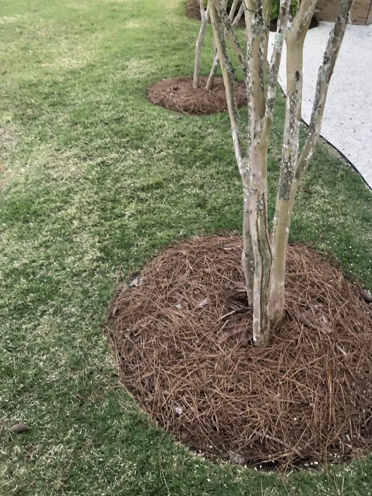 Professional outdoor landscaping in Loxley, AL - Dailey Lawn Care