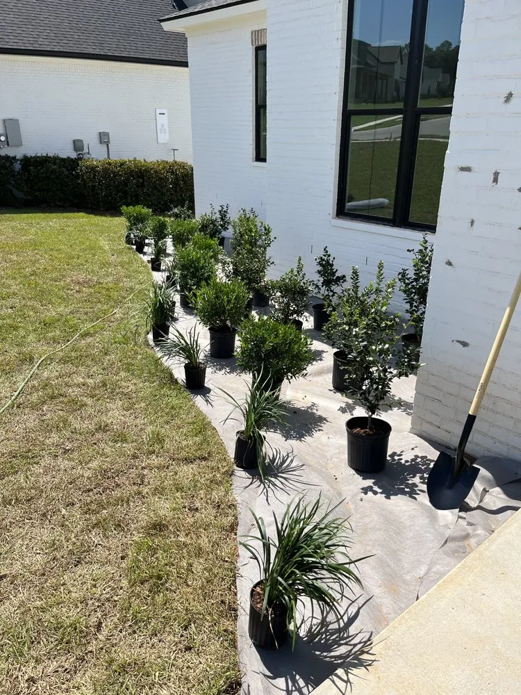 Affordable lawn care service experts serving Loxley, AL - Dailey Lawn Care