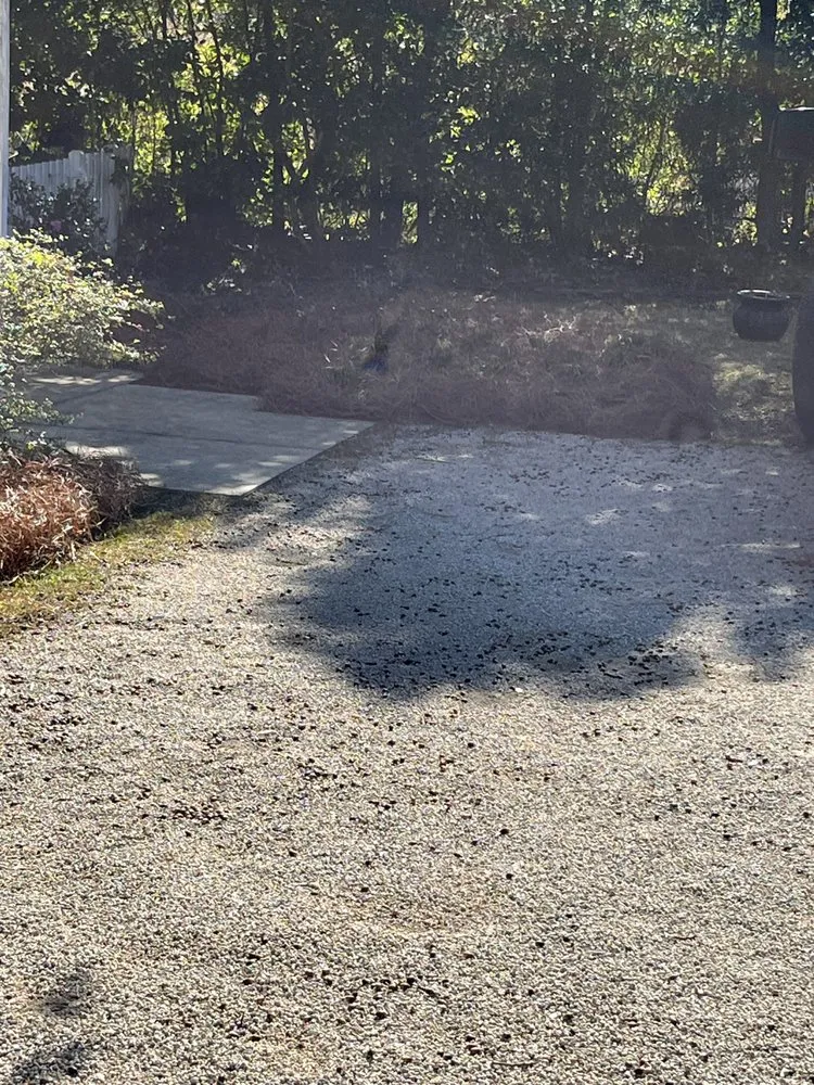 Top-rated yard maintenance in Loxley, AL by Dailey Lawn Care