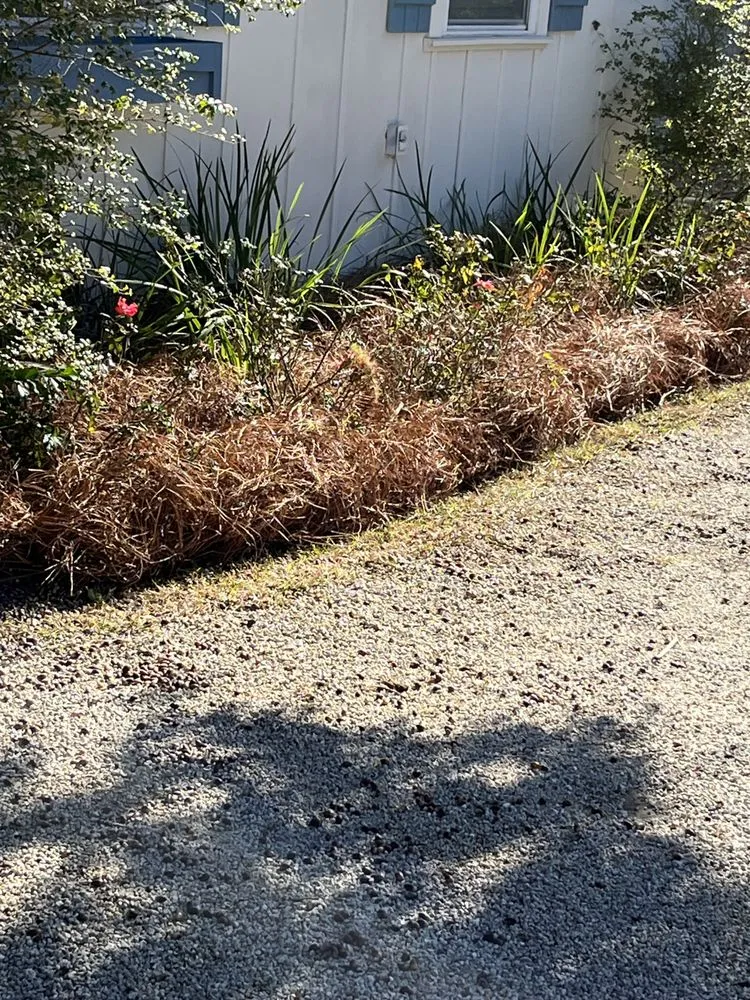 Local lawn mowing service near you across Loxley, AL - Dailey Lawn Care