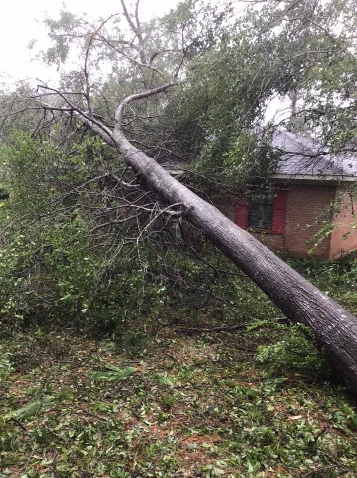 Expert garden landscaping in Loxley, AL - Dailey Lawn Care