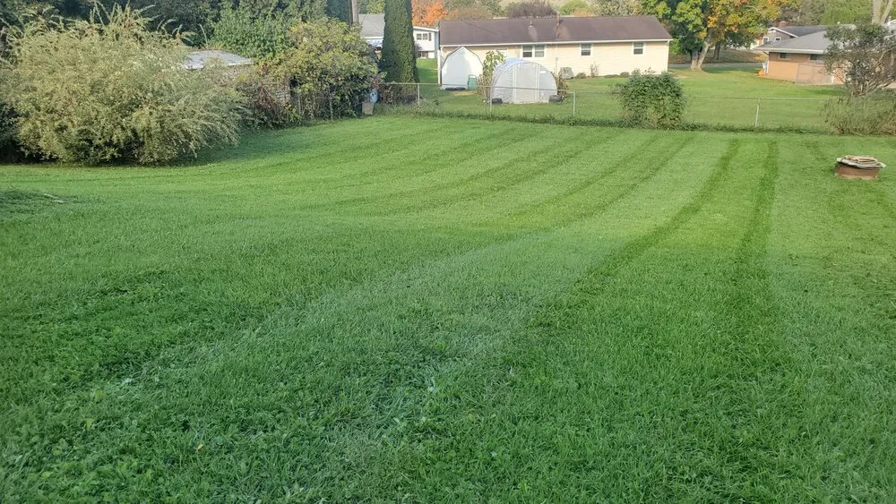 Trusted residential landscaping for beautiful yards across Bellville, OH - Dailey's Lawncare