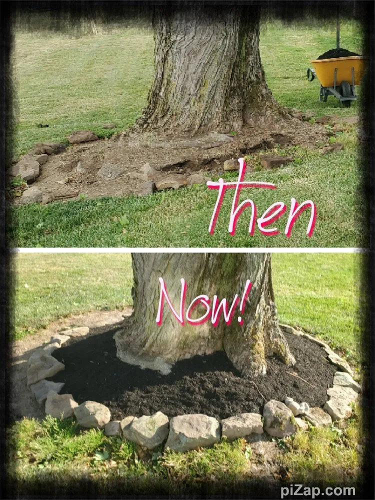 Professional landscaping services in Bellville, OH - Dailey's Lawncare