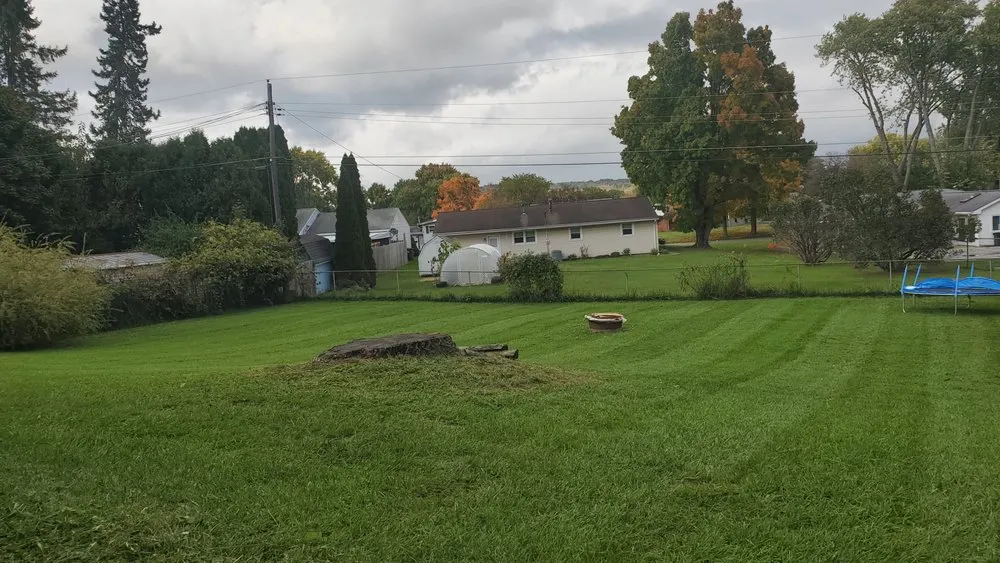 Affordable outdoor landscaping experts serving Bellville, OH - Dailey's Lawncare