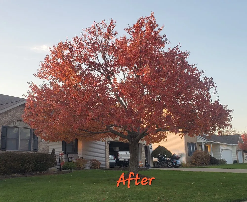 Local landscape design in Bellville, OH - Dailey's Lawncare