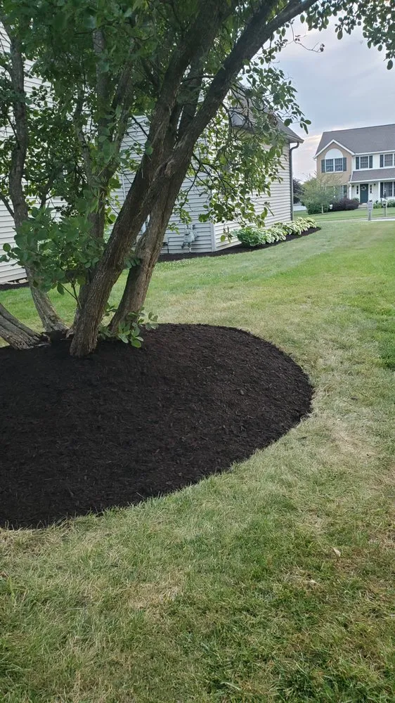 Expert lawn mowing service in Bellville, OH by Dailey's Lawncare