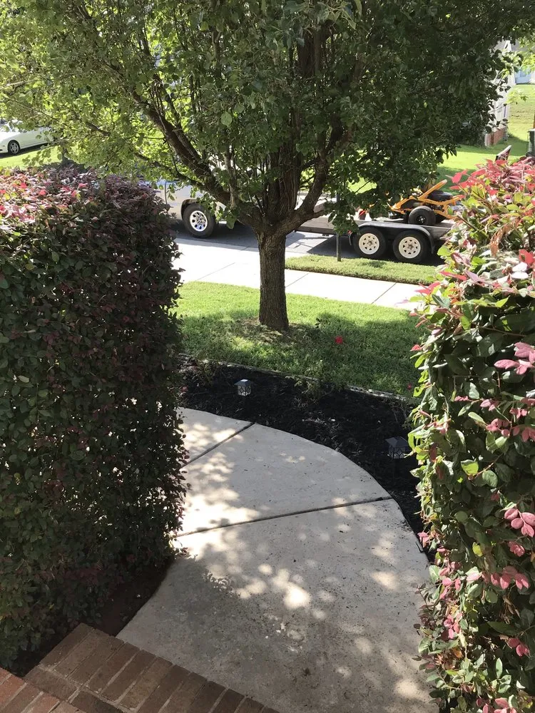 Top-rated outdoor landscaping for beautiful yards in Winston Salem, NC by Dailey's Lawncare